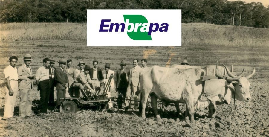 Trajetória Da Agricultura Brasileira – Jornal Campo Aberto