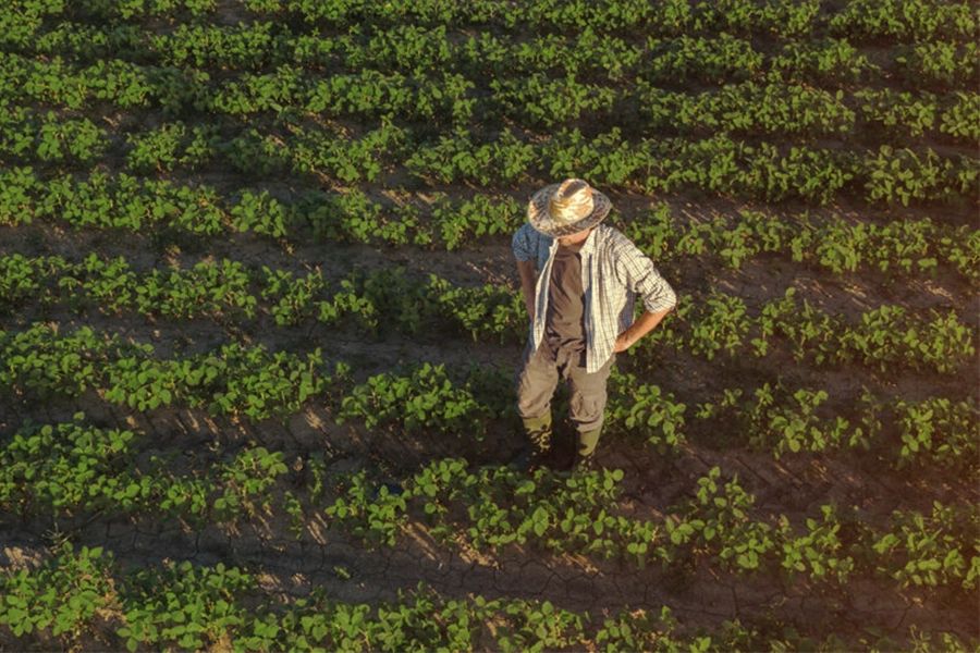 Faesp critica redução de imposto e propõe políticas para fortalecer produtores