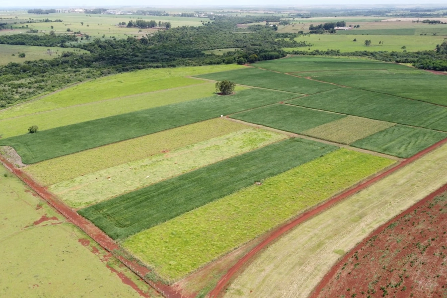 Embrapa Agropecuária Oeste comemora 30 anos de experimento em ILP e SPD