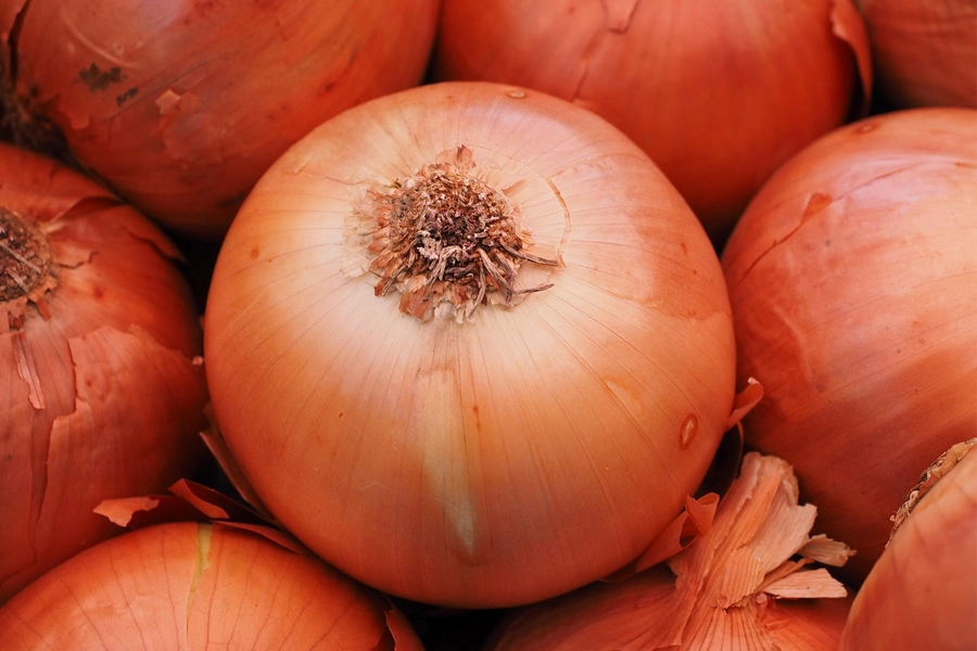 CEBOLA/CEPEA: Preços sobem até 50% na semana