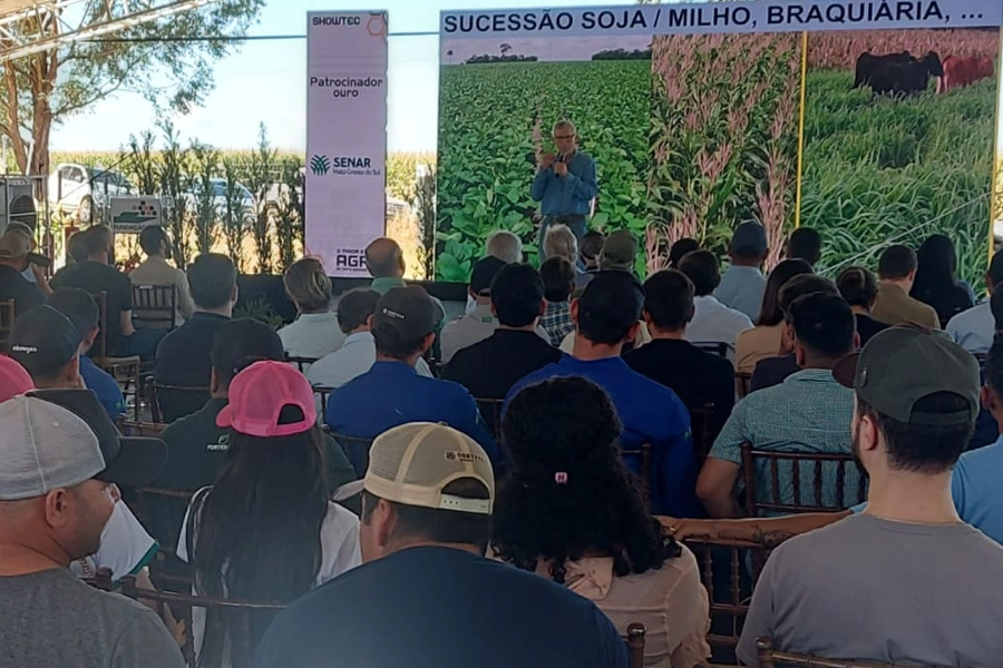 Embrapa apresenta soluções com milho, braquiária e manejo do solo para aumentar a resiliência da soja à seca