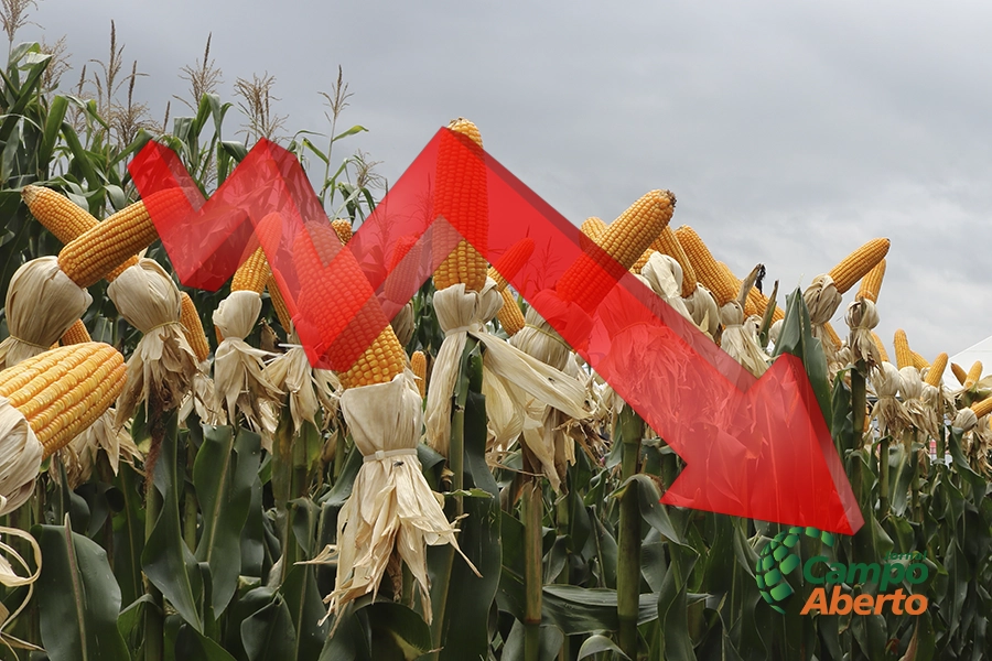 MILHO/CEPEA: Demanda segue fraca, e Indicador recua 9% em abril