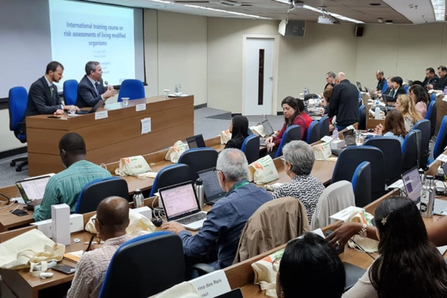 Mapa promove curso internacional sobre avaliação de risco de organismos geneticamente modificados