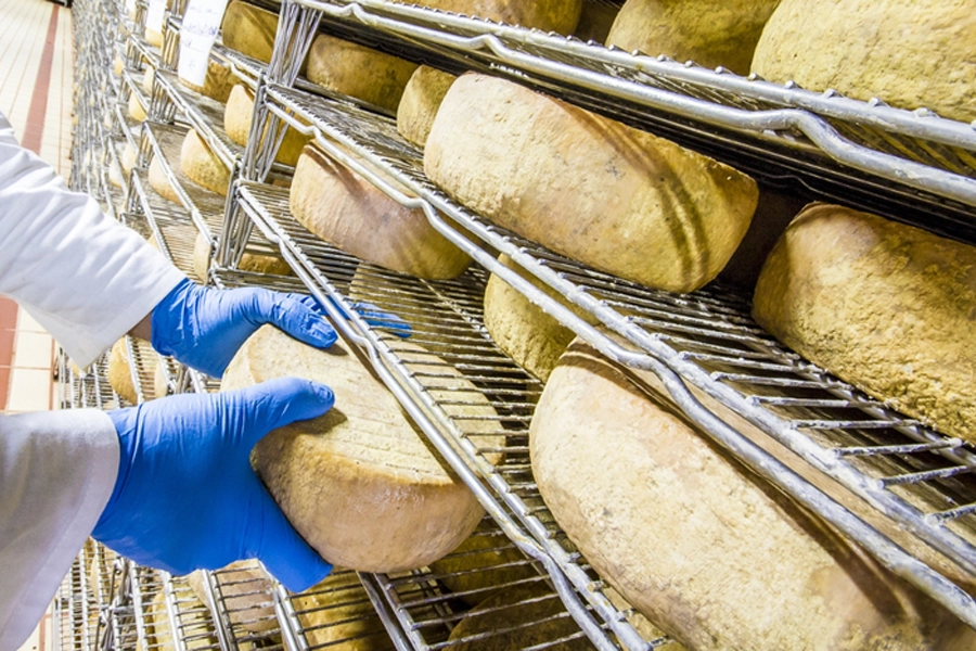 Governo Federal regulamenta processo administrativo de fiscalização agropecuária