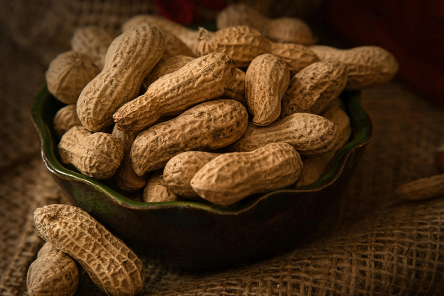 Mapa instala Câmara Setorial da Cadeia Produtiva de Amendoim do Conselho Nacional de Política Agrícola