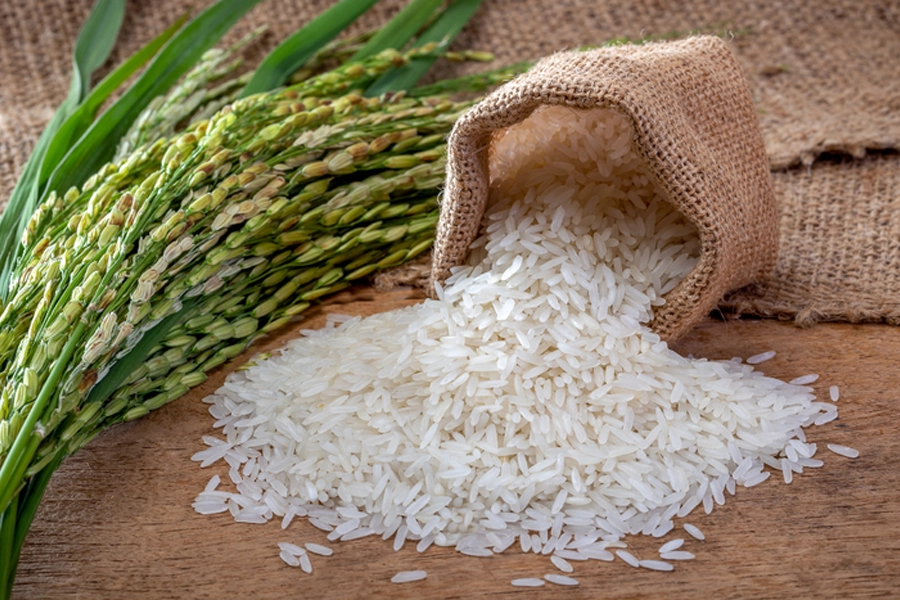 Mapa discute demandas do setor orizícola do Rio Grande do Sul com entidades instituições financeiras