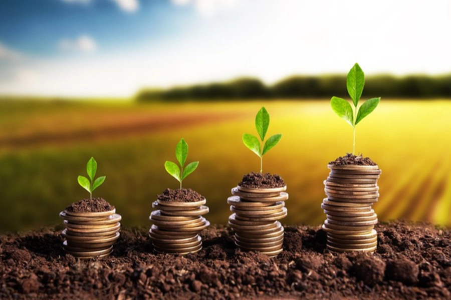 Crédito rural cresce 7% no Plano Safra 2025/2026 e totaliza R$ 354,4 bilhões contratados até fevereiro