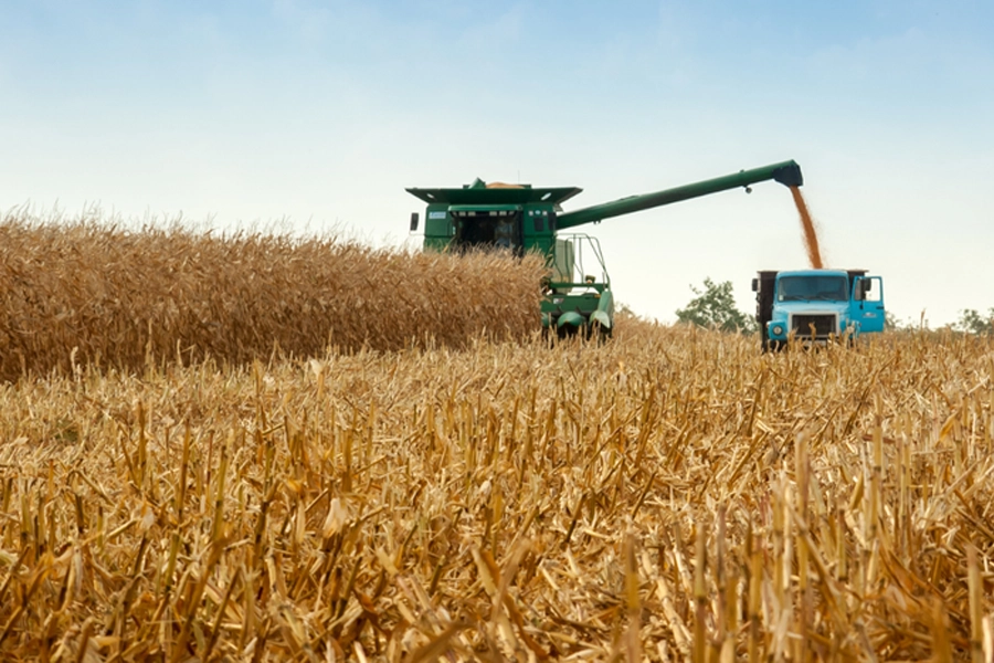 Cédulas de Produto Rural totalizam R$ 561 bilhões em fevereiro