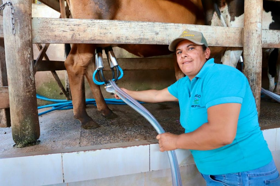 Dia Internacional da Mulher: Produtoras representam 43,2% dos acessos a crédito rural em SP