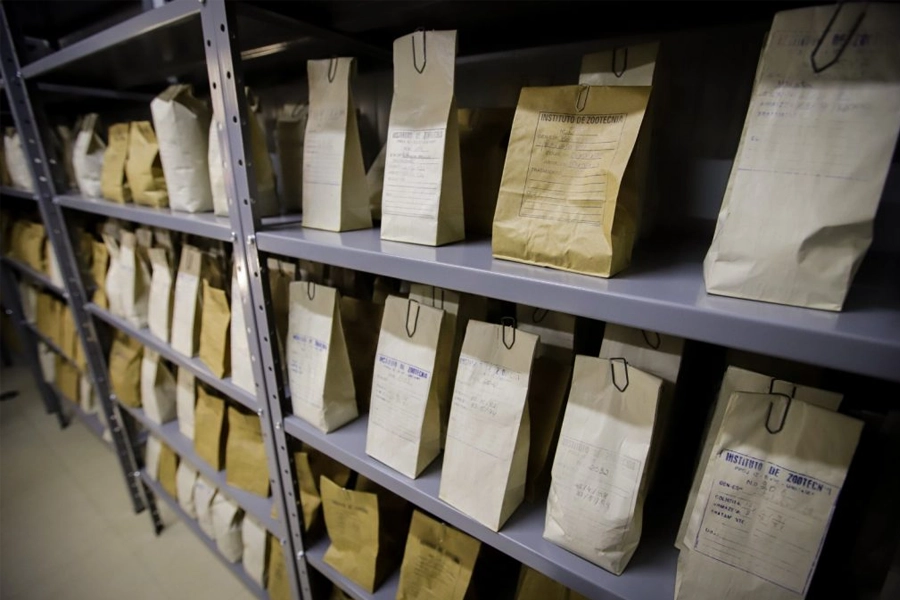 Guardando a diversidade da vida: como os bancos de germoplasma impulsionam a agricultura paulista