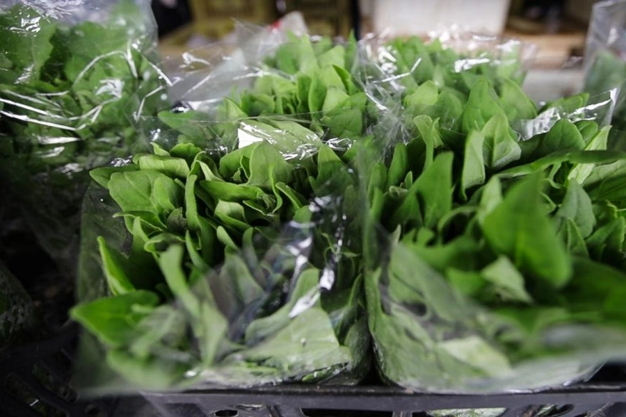 São Paulo regulamenta sistema estadual de inspeção de produtos de origem vegetal e fortalece a segurança alimentar