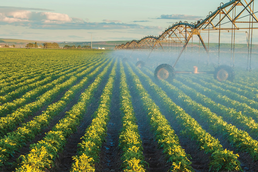 A quatro meses do fim, Plano Safra 2025/26 registra desembolso de 55,3% do montante programado para o crédito rural