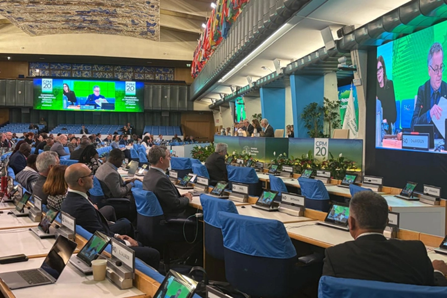 Mapa participa de sessão da FAO sobre proteção fitossanitária em Roma