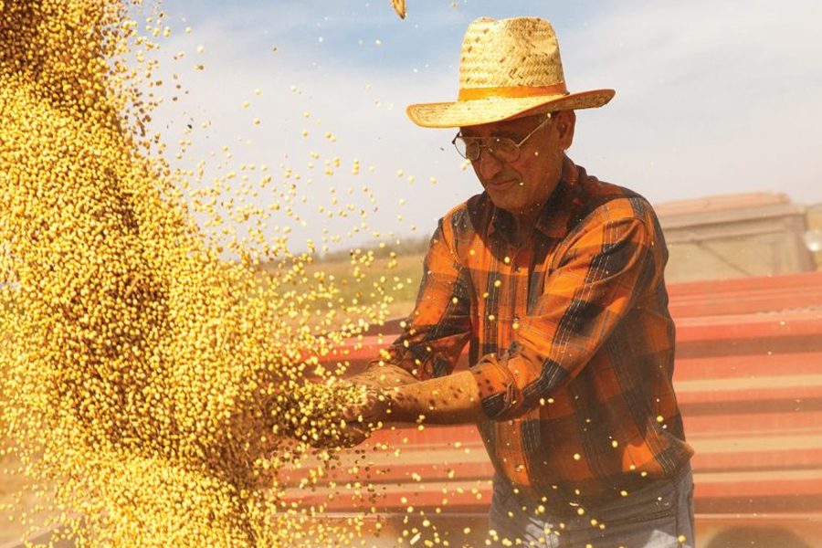 Admissões no setor agropecuário crescem 78,6% entre dezembro e janeiro no Brasil