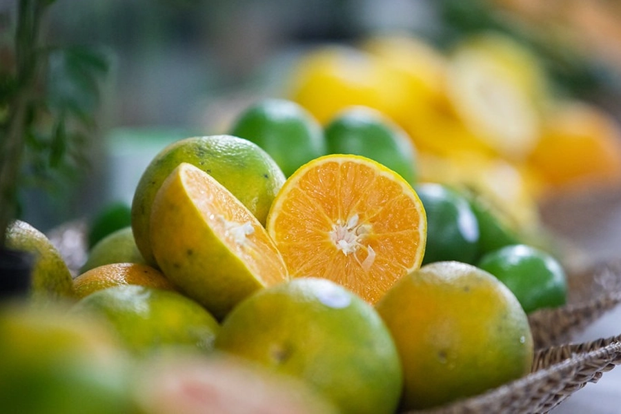 Centro de Citricultura impulsiona estratégia e inovação em meio à nova fase da citricultura brasileira