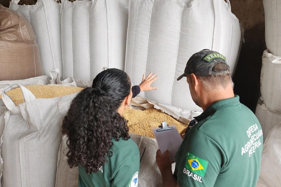 Mapa participa da Operação Semente Segura III no Rio Grande do Sul