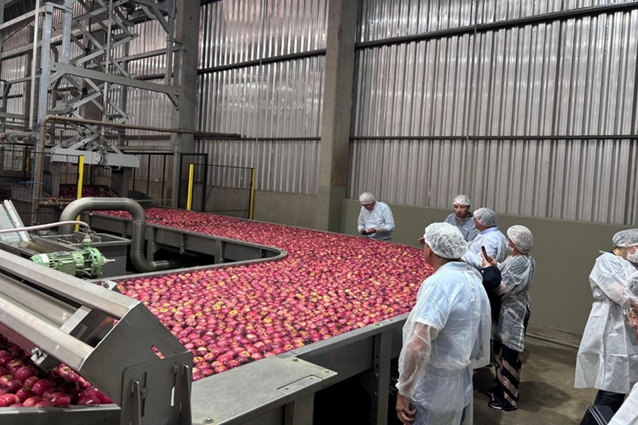 Missão internacional avança na abertura do mercado cubano para frutas brasileiras