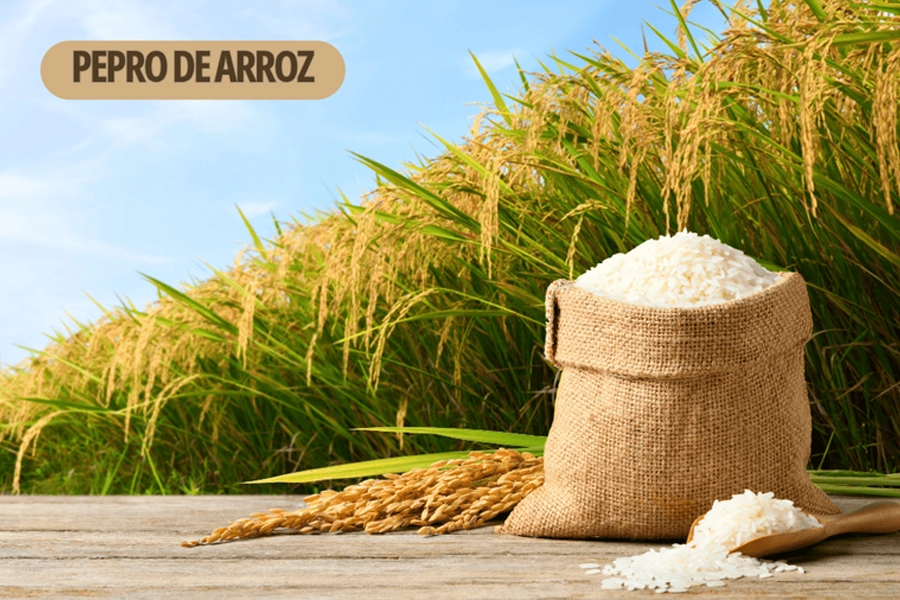 Leilões de apoio ao escoamento de arroz são marcados para o próximo dia 5 de maio