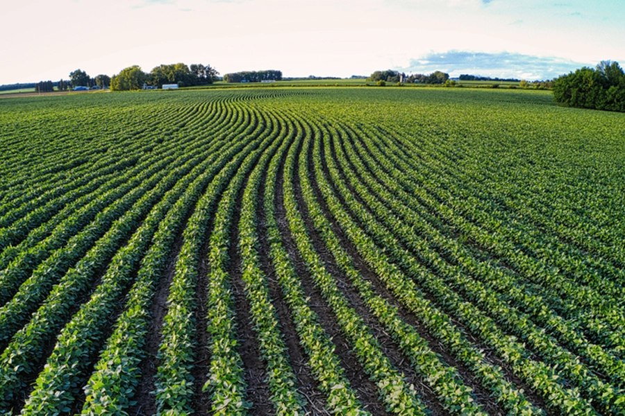 Registros de emissão de CPR chegam a R$ 560 bilhões em março