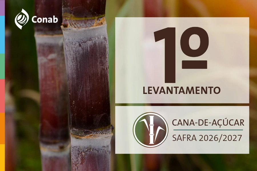 Primeira estimativa traz produção de cana-de-açúcar em 709,1 milhões de toneladas na safra 2026/27