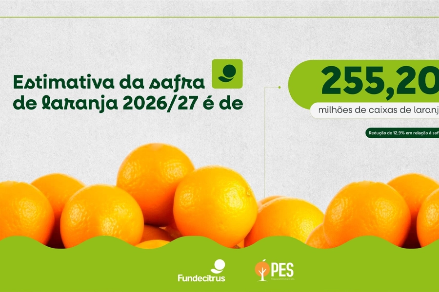 Safra de laranja 2026/27 do cinturão citrícola de SP e Triângulo Mineiro/Sudoeste de Minas Gerais é estimada em 255,20 milhões de caixas
