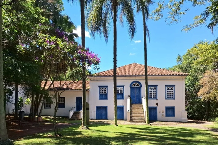 Completando 220 anos, fazenda do Instituto Biológico em Campinas abriga hoje centros científicos de excelência