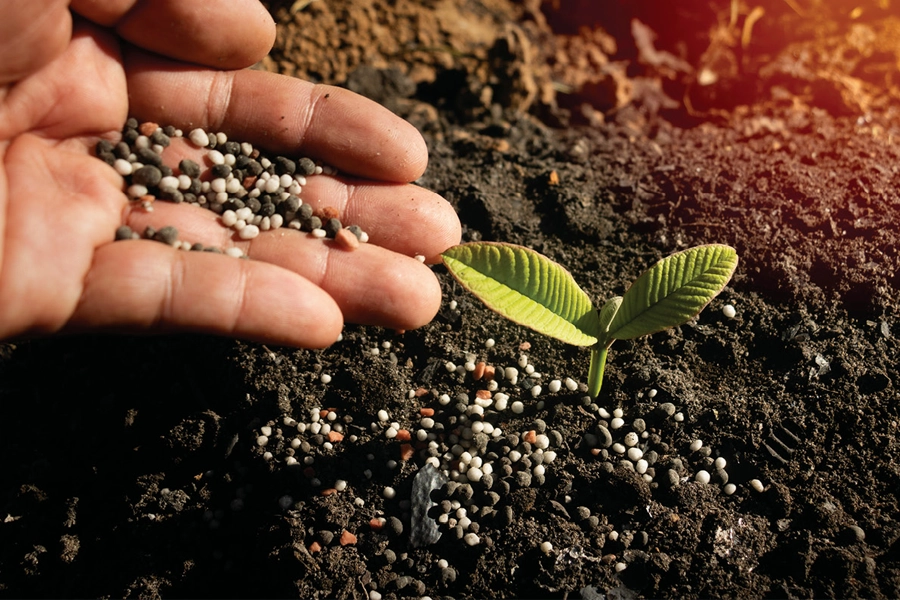 Redução global na oferta de fertilizantes e preços mais altos de combustíveis elevam custos de produção no campo