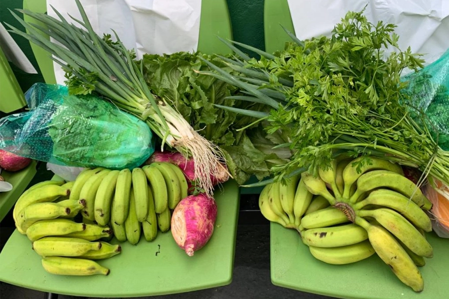 Ilhabela fortalece PAA e leva segurança alimentar a comunidades isoladas em mar aberto