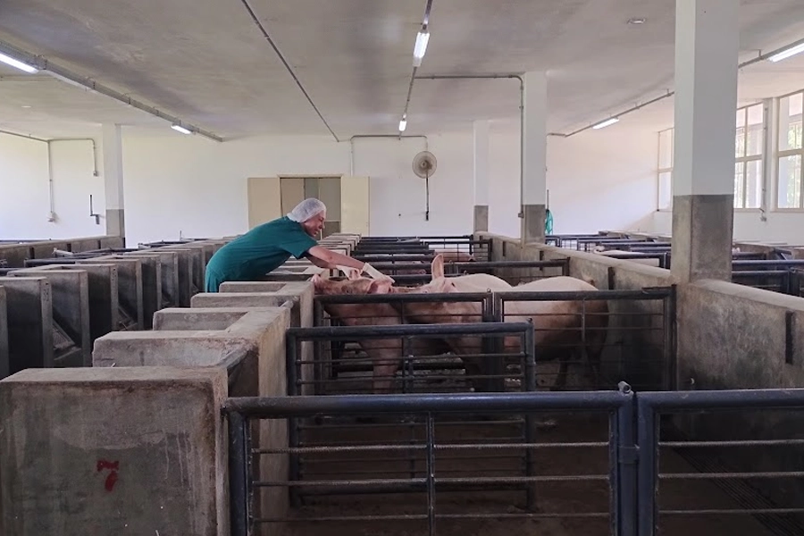 Instituto de Zootecnia destaca protagonismo paulista nos 60 anos da zootecnia no Brasil 