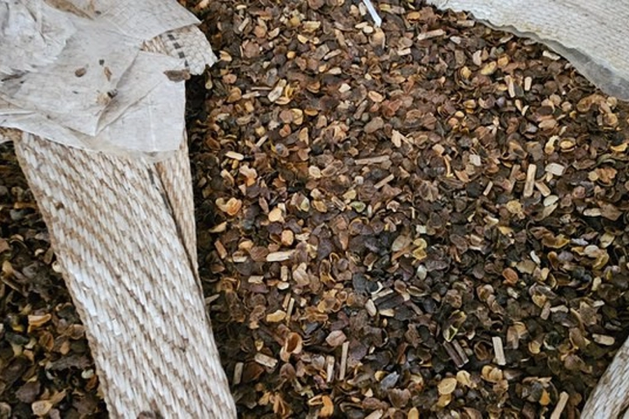 Mapa destina café apreendido para produção de composto orgânico no Paraná
