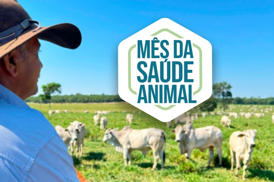 Mapa realiza, em maio, o Mês da Saúde Animal 2026