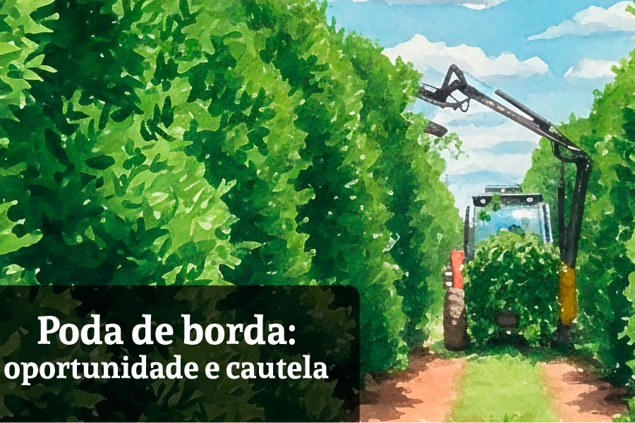 Poda de borda: oportunidade e cautela
