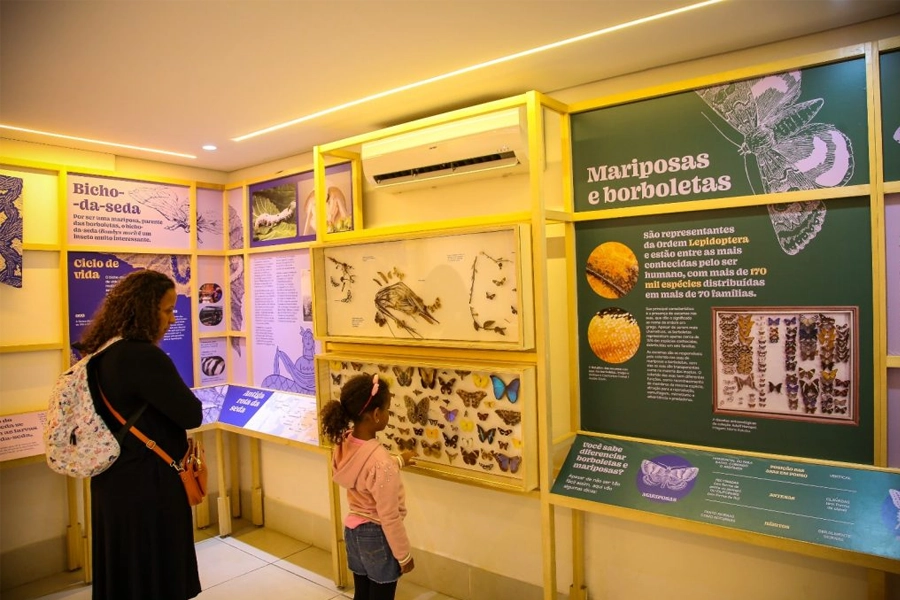 Planeta Inseto: o Museu do Instituto Biológico transforma ciência em experiência educativa