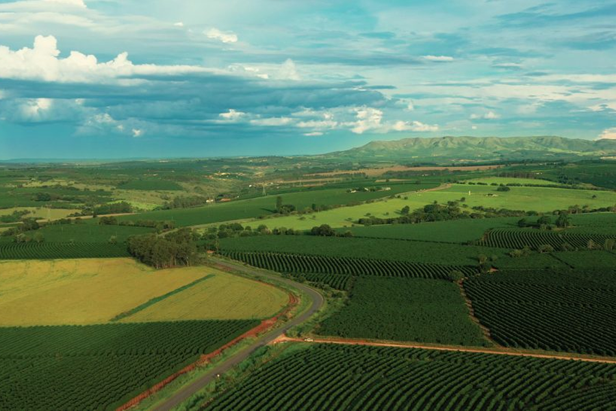 Plano Safra 2025/2026: São Paulo movimenta R$ 29,7 bilhões em crédito rural até maio de 2026