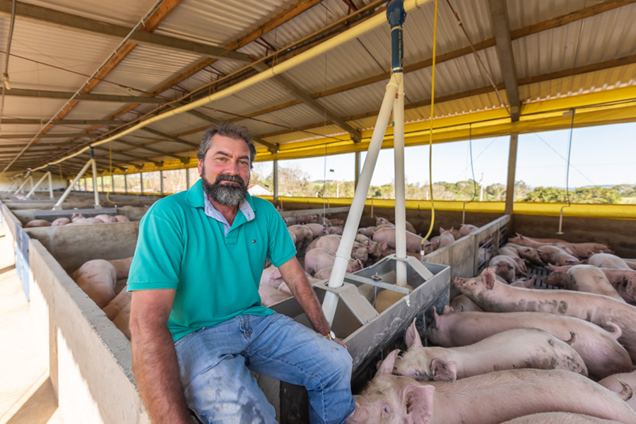 Dia do Suinocultor celebra protagonismo de quem impulsiona setor de R$ 63,1 bilhões