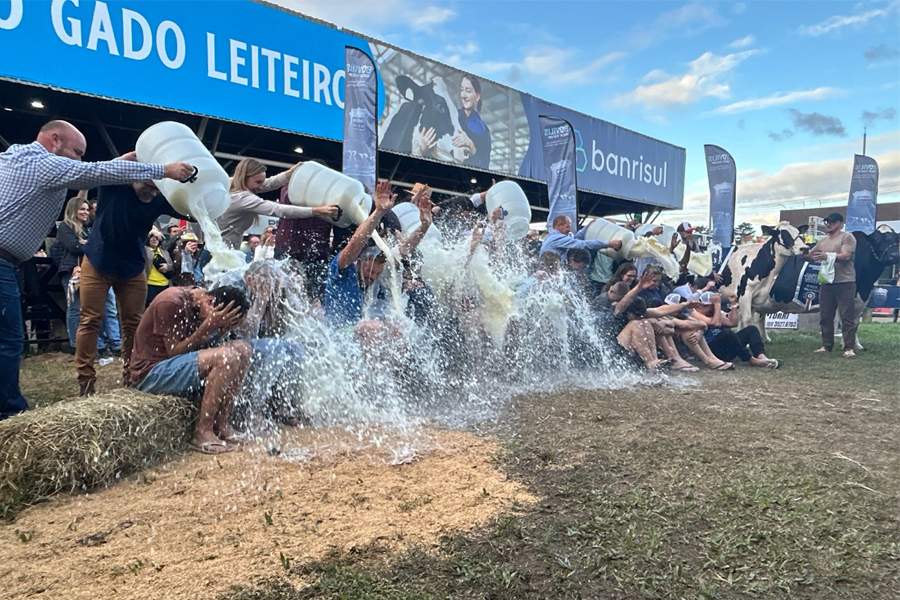 Vaca recordista volta a vencer na Expointer e consagra trajetória de títulos no concurso leiteiro