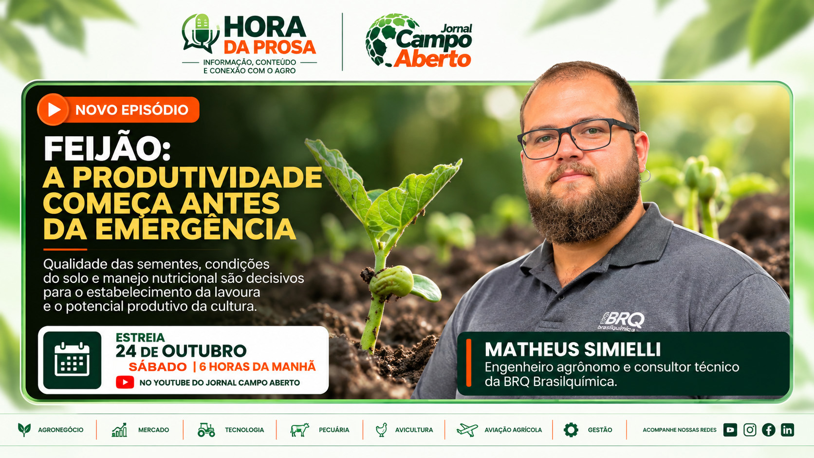 Produtividade do feijão começa antes do plantio e exige atenção ao solo, sementes e nutrição