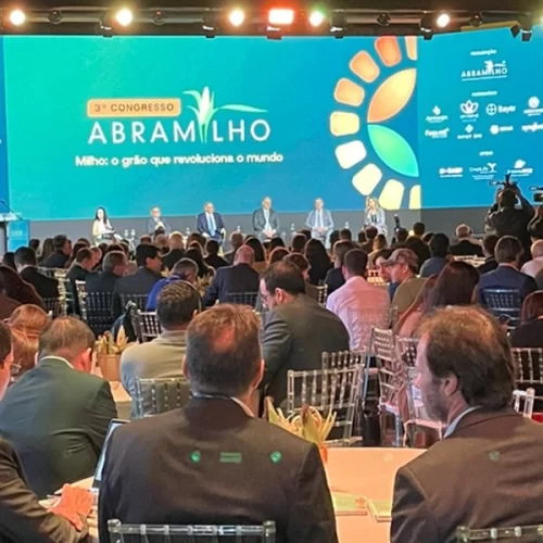 Mapa participa do 3º Congresso da Abramilho e discute cenário internacional e a sustentabilidade no setor do milho