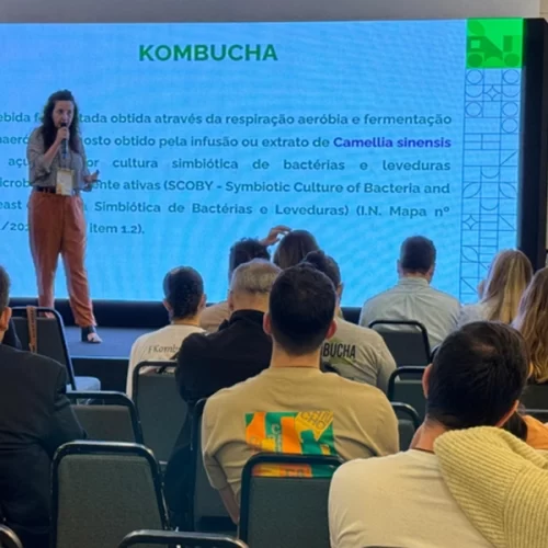 Regulamentação impulsiona setor de kombucha, que cresce 923% em seis anos no Brasil