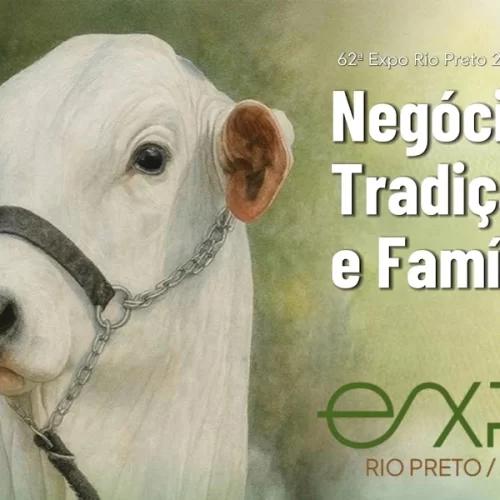 62ª EXPO Rio Preto retoma etapa Corte neste domingo (28) com programação gratuita e exposição de animais de alto padrão
