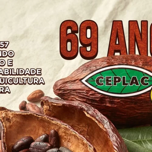 Há 69 anos, Ceplac fortalece a produção de cacau no Brasil