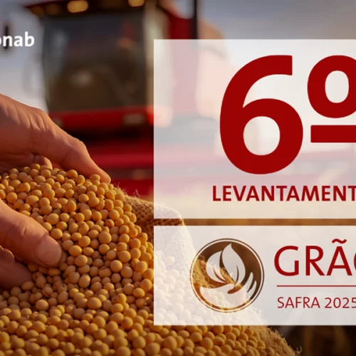 Safra de Grãos está estimada em 353,4 milhões de toneladas no ciclo 2025/26