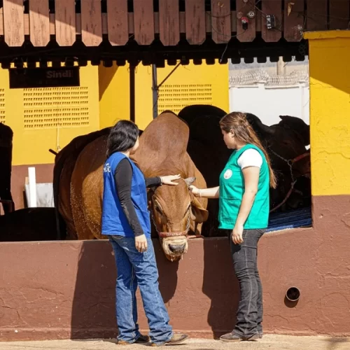 Negócios, cultura e formação: a força da Expo Rio Preto 2025