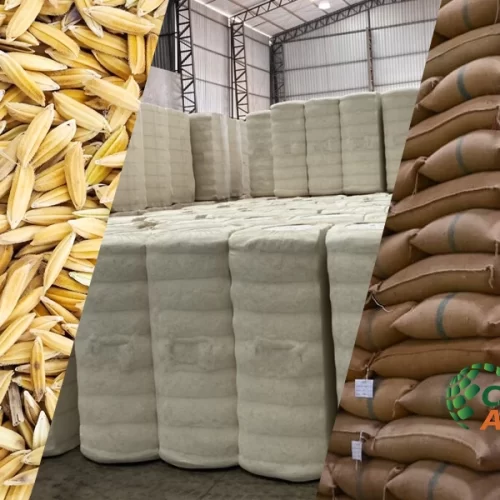 Análise de Mercado – Jornal Campo Aberto