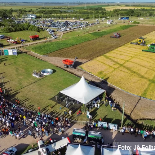 Abertura Oficial da Colheita do Arroz termina com mais de 24,5 mil visitantes