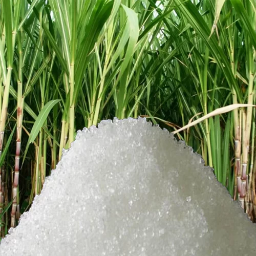 AÇÚCAR/CEPEA: Mesmo em período de entressafra, preços caem em janeiro