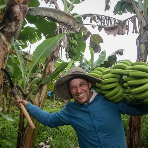 Histórias que evoluem: crédito rural ajuda sucessão familiar e crescimento no campo