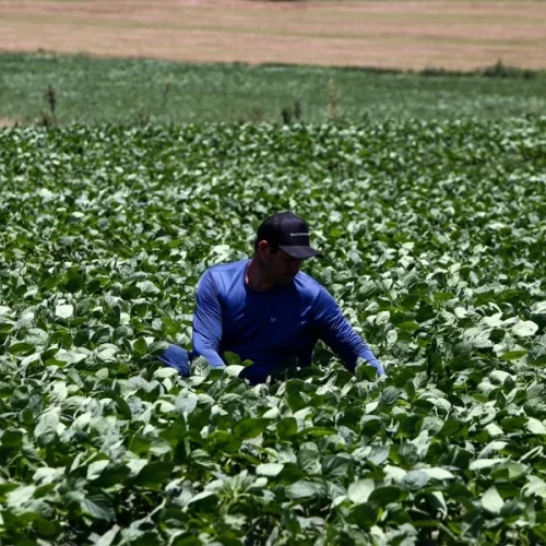 Governo de SP envia à Alesp projeto que fortalece Fundo do Agronegócio