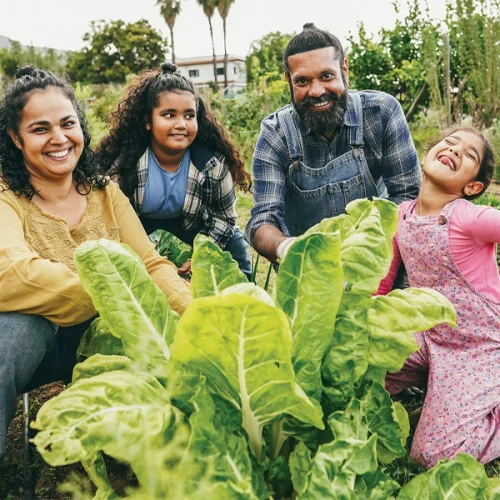 Faesp apresenta propostas para ampliar a efetividade das compras da agricultura familiar
