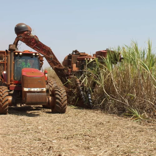 Agro paulista fecha 2025 com superávit de US$ 23 bilhões